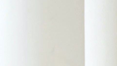 La Universidad de Princeton (Nueva Jersey), donde era profesor, anunció este lunes su fallecimiento.