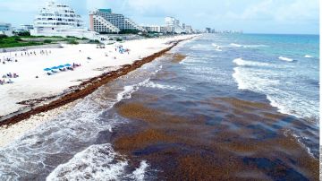 Las playas mexicans podrían verse afectadas ante el incremento de violencia.