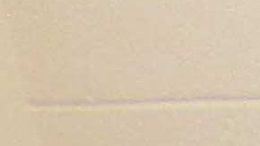 La mayoría de los estudiantes de la Amber Charter School pertenecen a grupos minoritarios.