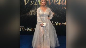 Andrea Legarreta en los Premios TVyNovelas 2019