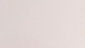 Ann Coulter no para sus criticas al presidente Trump por incumplir con su promesa del muro.