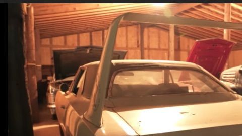 Su dueño actual los ha venido coleccionando hace más de 20 años con la esperanza de que lo volvieran rico