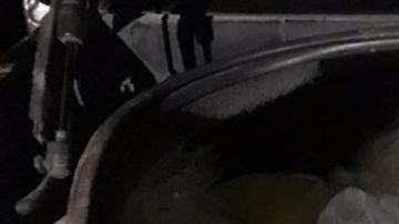 Las bolsas de plástico estaban en el interior de los autos,