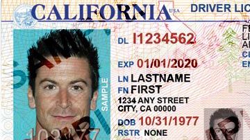 Si no calificas para renovar tu licencia, puedes aprovechar el momento para obtener tu REAL ID