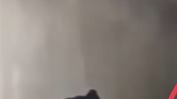 Danny Pope en el momento del arresto.