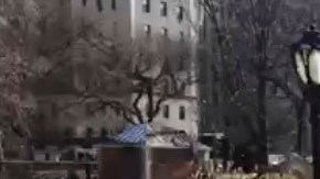 Lago en la zona norte de Central Park