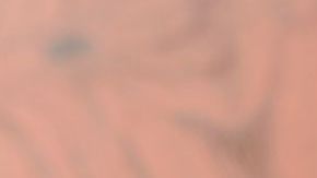 Chips de kale con ajo.