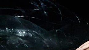 Así luce el artefacto de la empresa Loon que aterrizó en BCS.