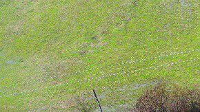 Tornados destruyen varias casas en Arkansas.