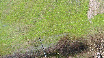 Tornados destruyen varias casas en Arkansas.