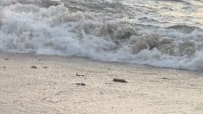 La embarcación usada por los balseros.