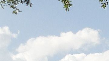 Las nuevas normas entrarán en vigencia el próximo primero de mayo.