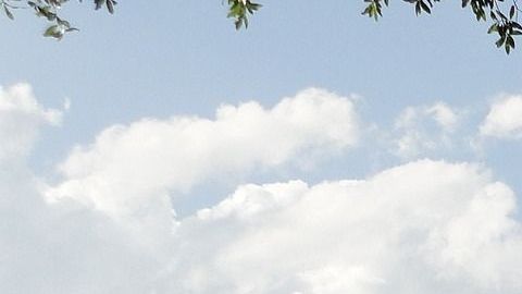 Las nuevas normas entrarán en vigencia el próximo primero de mayo.