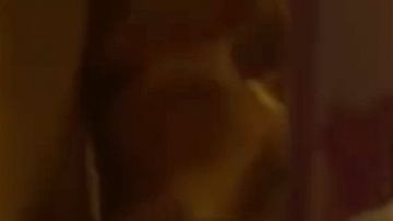 "Dumbo" regresa a los cines para las nuevas generaciones