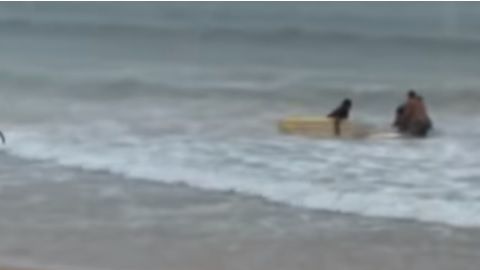 La surfista brasileña de 23 años, Luzimara Souza, murió electrocutada por un rayo cuando entrenaba en el mar
