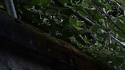 Muchas de ellas se construyeron en los años 1920 y 1930, cuando se levantaron los rieles de los viejos tranvías.