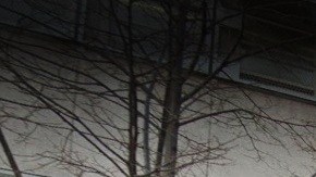 PS 96, ubicada en 216 East 120th St.