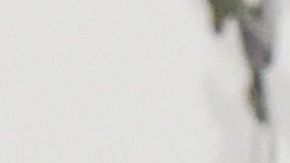 Entre los acusados se encuentran las actrices de Hollywood Lori Loughlin y Felicity Huffman.