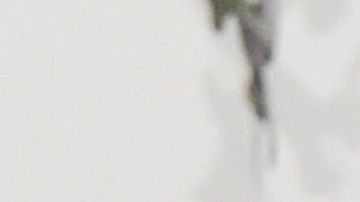 Entre los acusados se encuentran las actrices de Hollywood Lori Loughlin y Felicity Huffman.