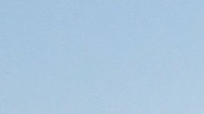 Flores silvestres en la cordillera de Tremblor en California.