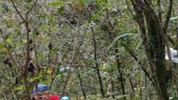 La búsqueda en una nueva fosa clandestina en el oriental estado mexicano de Veracruz ha arrojado hasta el momento el hallazgo de 15 cuerpos