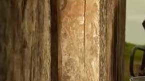 Integrantes de la Fuerza Civil en Veracruz se quejaron de sus condiciones laborales en medio de la lucha contra el narco.