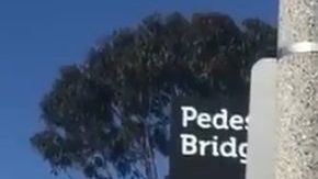 El gobernador envió un mensaje a través de su cuenta en Twitter.