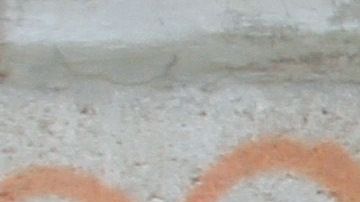 Familiares esperan los cuerpos de 11 personas asesinadas en Ciudad Juárez. Getty