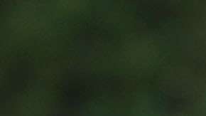 Reporte de Mueller le da un fuerte respiro a Trump y a su gobierno