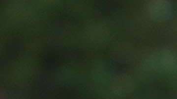 Reporte de Mueller le da un fuerte respiro a Trump y a su gobierno