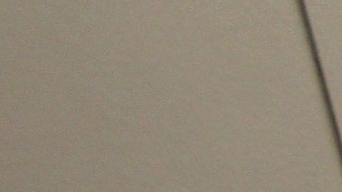 Paperas, Varicela e Influenza son las principales afecciones