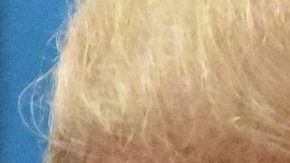 Trump pagó a la actriz porno para comprar su silencio sobre su romance