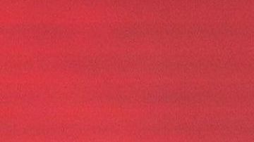 La gimnasta mexicana Alexa Moreno sigue destacando en la especialidad el salto de caballo.