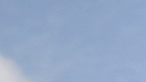 Desde noviembre pasado, CBP ha reforzado la vigilancia en la frontera con México.