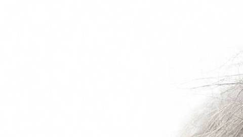 Trump aprovecho un desliz de Biden para atacarlo