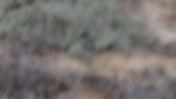 El Gobierno de López Obrador ofrece visas humanitarias a centroamericanos.