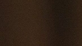 El ex jefe de gabinete escribió un memo en contra la orden de Trump