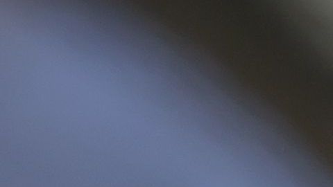 Trump celebra y pide investigación contra sus acusadores