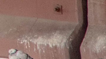 La Patrulla Fronteriza tiene retenidos a alrededor de 13,000 inmigrantes.