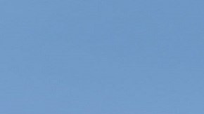 El presidente Trump emitió una orden de emergencia.