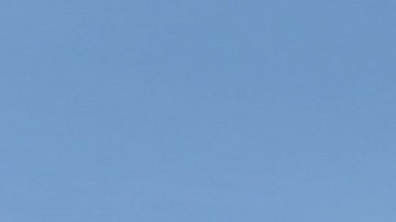 El presidente Trump emitió una orden de emergencia.