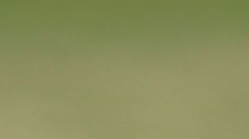 La importación de autos a EEUU no es una amenaza nacional, dijo Trump