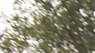 Los marines mexicanos enfrentan sin misericordia a los sicarios de cárteles.