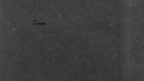 Los hermanos Chang y Eng Bunker