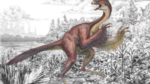 Ave prehistórica.