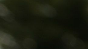 ¿Los engañaron o fueron corruptos?, preguntó Trump en Twitter.