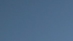 RAICES exige a través de una carta la inmediata puesta en libertad de 24 familias con niños.