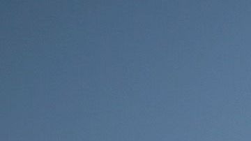 RAICES exige a través de una carta la inmediata puesta en libertad de 24 familias con niños.