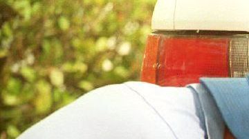 La aplicación del Departamento puede actualizar la placa de hasta 5 autos con una sola transacción