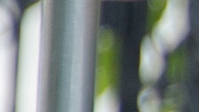 Un entrenador de tenir de las jóvenes Obama está implicado en una red de fraude de universidades.